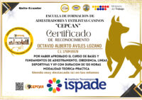 Aviles Lozano Octavio Alberto-1750435578