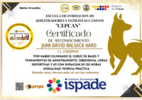 Balseca Haro Juan David-1710259423