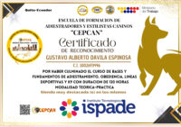 Davila Espinosa Gustavo Alberto-1002693446