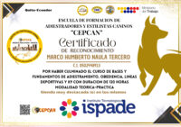 Naula Tercero Marco Humberto-0502448913